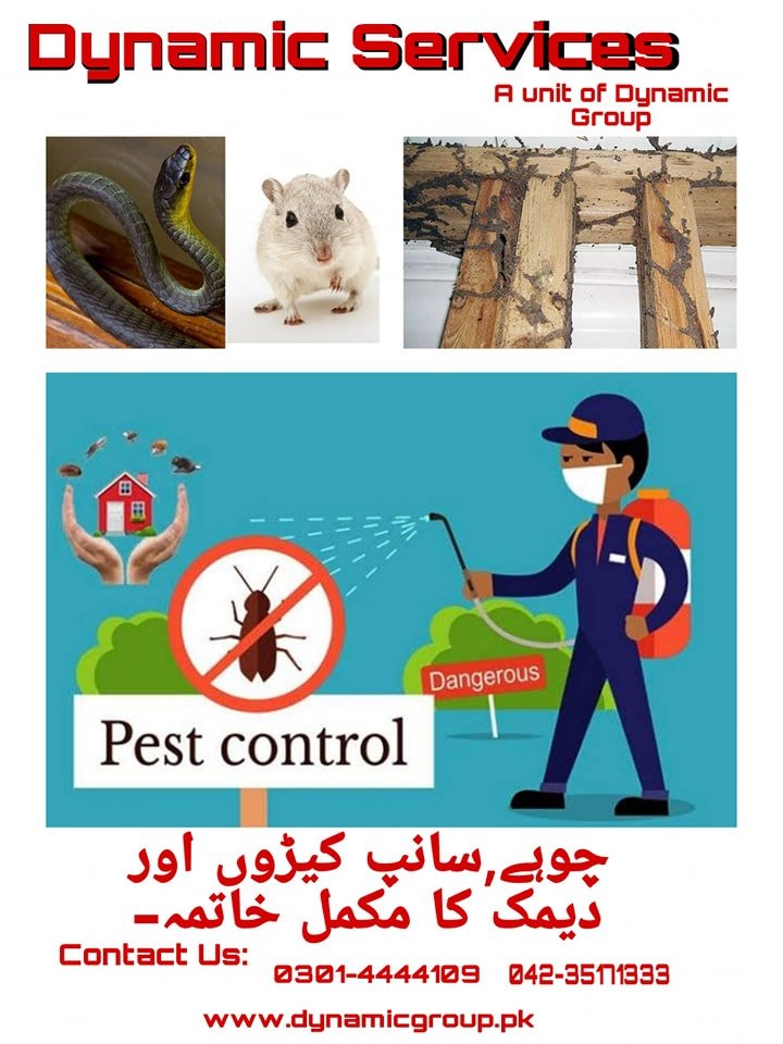 Rodents Control